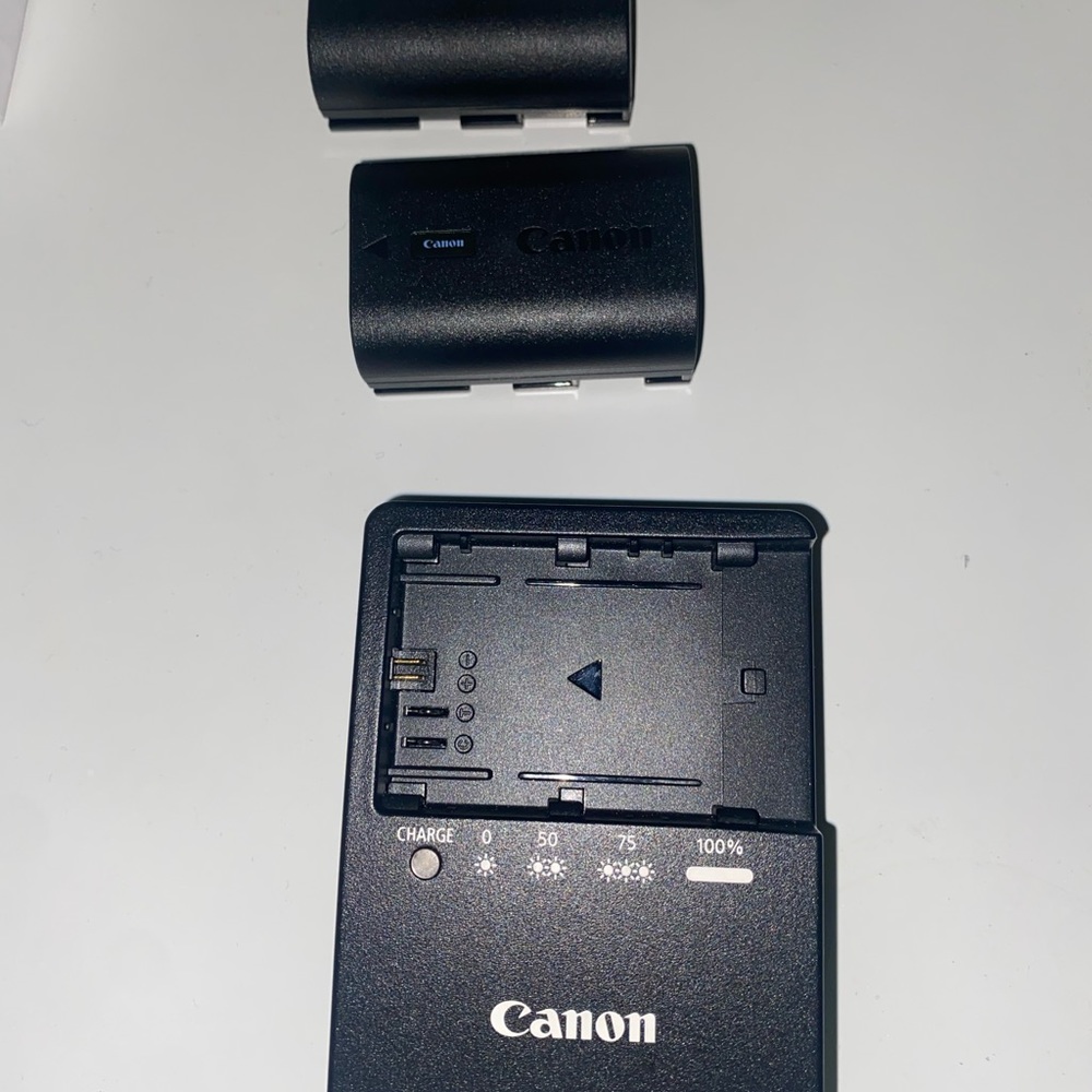 Canon R6 with Lens - Picture 8 of 13